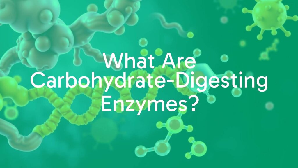 Illustration of carbohydrate-digesting enzymes breaking down a complex carbohydrate chain into simple sugar molecules, scientific style, clear and colorful.