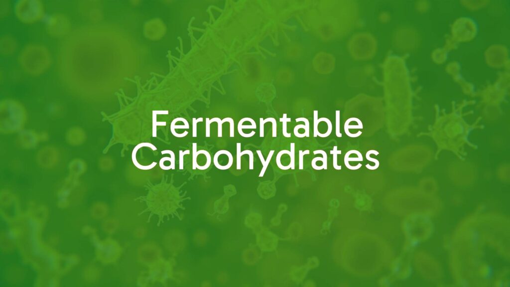 Fermentable Carbohydrates